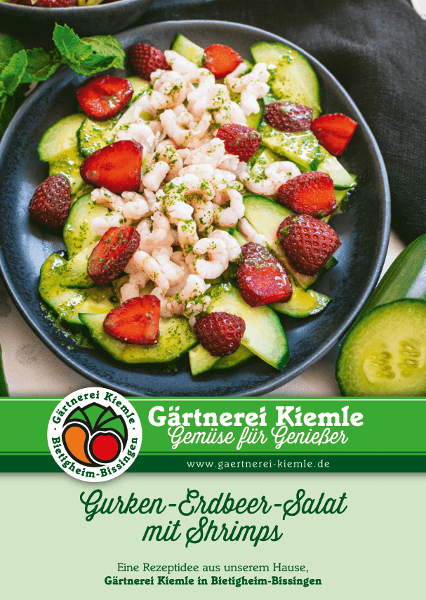 Kiemle_Rezept_Gurken-Erdbeer-Salat_HP_1